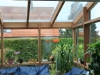 gradina-de-iarna-1_0